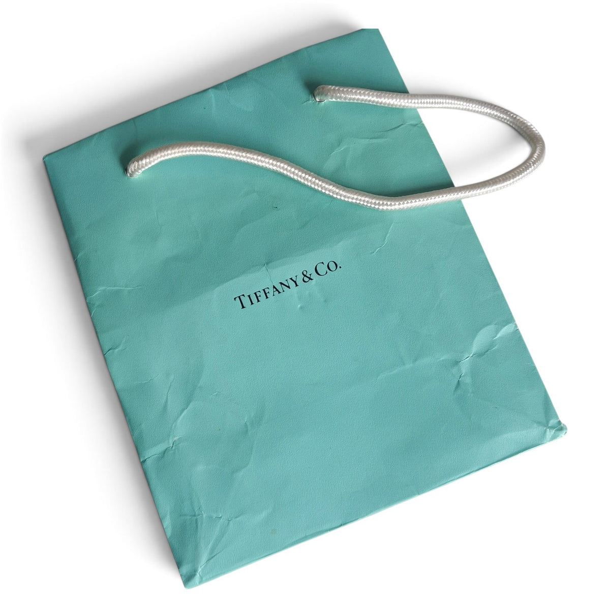 Tiffany & Co Elsa Peretti Design Eternal Circle Necklace and Earrings Set with original receipt from Tiffany Bond Street